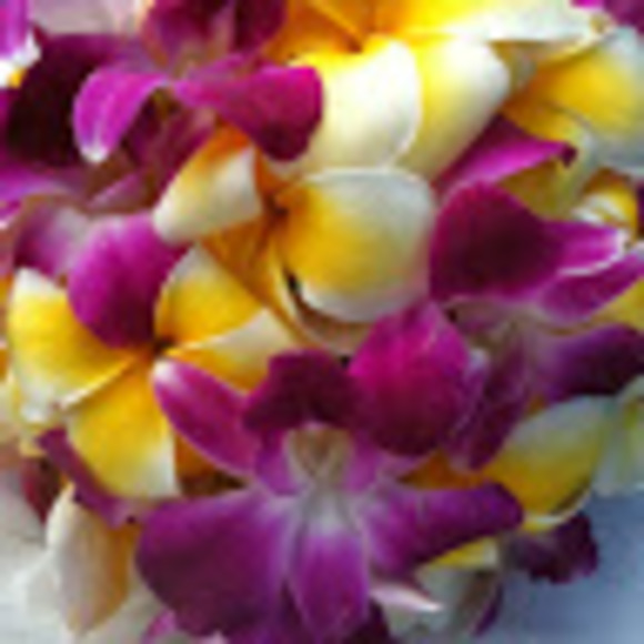 Meet your Posher, Barrie - Picture 1 of 1